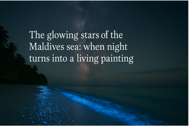 The Glowing Stars of the Maldives Sea: When Night Turns into a Living Painting